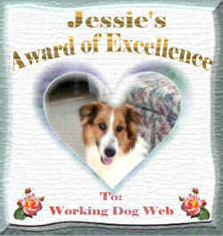 Thank you, Jessie, for this handsome Award of Excellence!