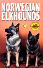 Click link to order Norwegian Elkhounds Calendar