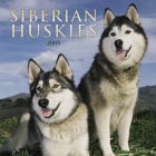Click link to order Siberian Huskies 2005 Calendar