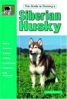 Click link to order Guide to Owning a Siberian Husky