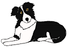 BorderCollie-S.gif (3842 bytes)