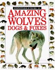 AmazingWolvesDogsFoxes.jpg (9843 bytes)