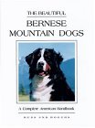 BerneseMountainDog-B.jpg (4684 bytes)