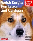 Corgi-Welsh.jpg (7627 bytes)