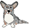 Corgi-b-merle.gif (4724 bytes)