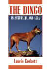 Dingo.jpg (4914 bytes)