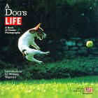 Click the link to order A Dog's Life