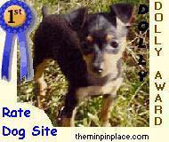 Award to WorkingDogWeb