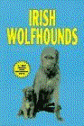 Click link to order Irish Wolfhounds