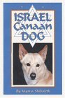 IsraelCanaanDog.jpg (5569 bytes)