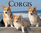 JustCorgis2005.jpg (6027 bytes)