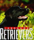 Click link to order Labrador Retrievers