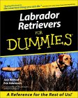 LabradorRetrieversForDummies.jpg (8737 bytes)