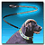 LightedLeashes.gif (2586 bytes)