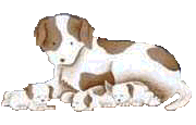 MamaDog.gif (10117 bytes)