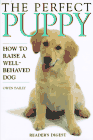 PerfectPuppy.gif (5501 bytes)