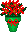 Poinsettia.gif (321 bytes)