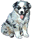 PupSketch.gif (11563 bytes)