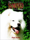 SamoyedToday.jpg (6198 bytes)