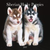 Siberian-Puppies-2007-Calendar.jpg (7615 bytes)