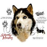 Click the link to order Siberian Husky Sweatshirt