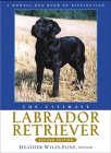 UltimateLabradorRetriever.jpg (6607 bytes)