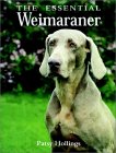 Weimaraner-Essential.jpg (6994 bytes)