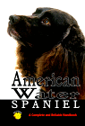 Click link to order American Water Spaniel