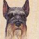 Schnauzer-P.jpg (9473 bytes)