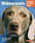 Click link to order Weimaraners